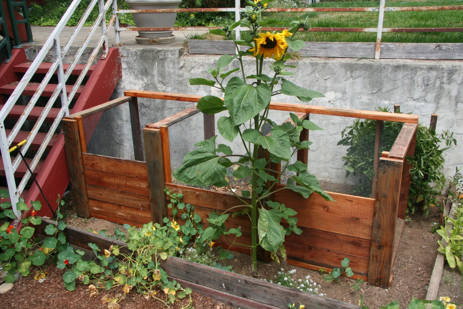 build a wooden compost bin