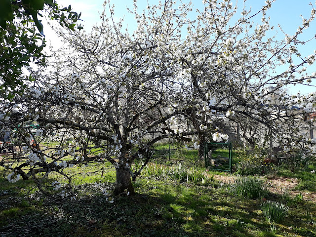 Maison de vacances à Blois dans le Val de Loire