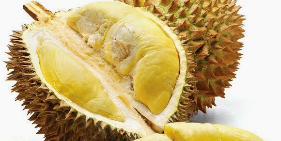  Gambar  Buah  Durian Mantap Aku Buah  Sehat