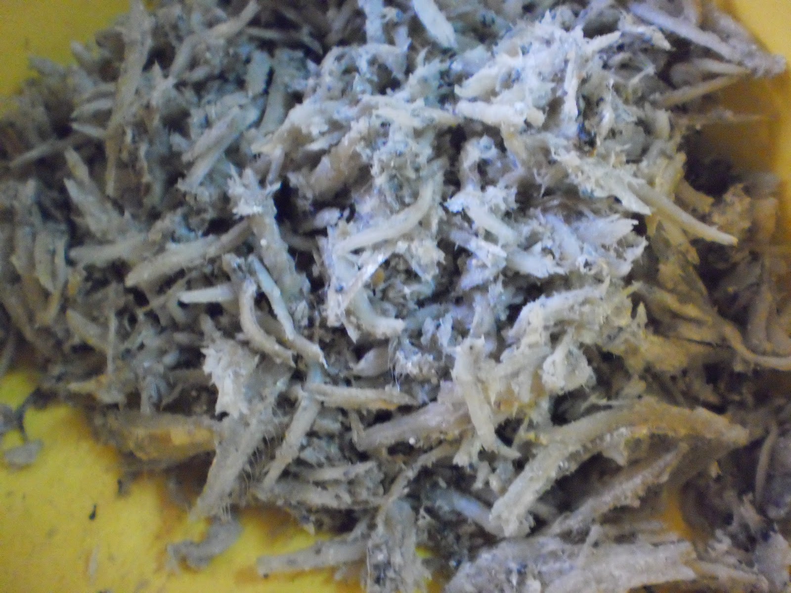 AS TIME GOES BY...: Sambal hitam belimbing buluh...