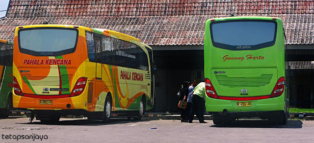 Perbedaan tampak belakang varian Jetbus Non HD dengan Jetbus HD