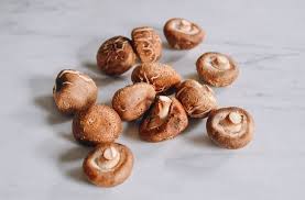 Dried Mushroom Supplier In Songadh | Wholesale Dry Mushroom Supplier In Songadh | Dry Mushroom Wholesalers In Songadh