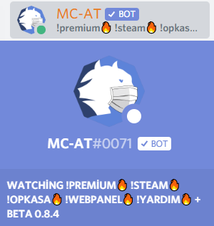 Discord Sunucu Ayarları ve BOT Önerileri Rehberi 1