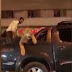 Pakistán, en coche con el león