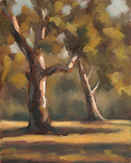Oil painting of two eucalypts with long afternoon shadows.