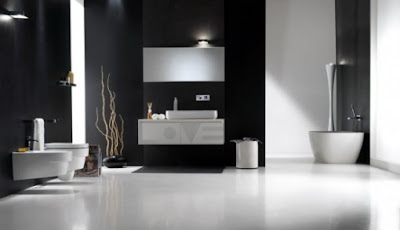 Luxury Black and White Kitchen Interior Design