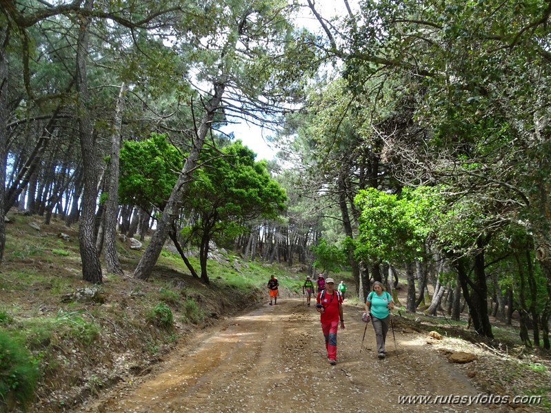 El Colmenar - Camino de los Arrieros - Puerto de los Peñones - Puerto de la Venta - Garganta de Los Charcones