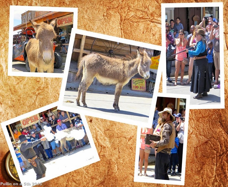 IMG_3944_Fotor_Fotor_Collage