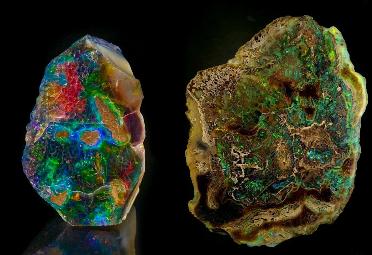 Opalized Wood