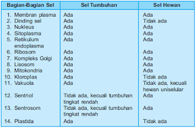 Perbedaan Sel Hewan Dan Sel Tumbuhan Beserta Gambar