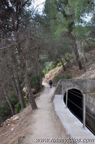 Caminito del Rey