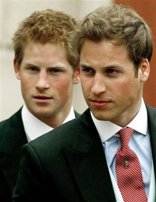 prince william and harry portrait. prince william