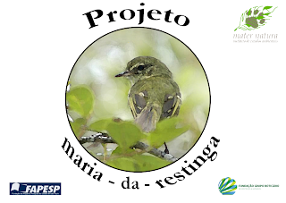 Projeto maria-da-restinga