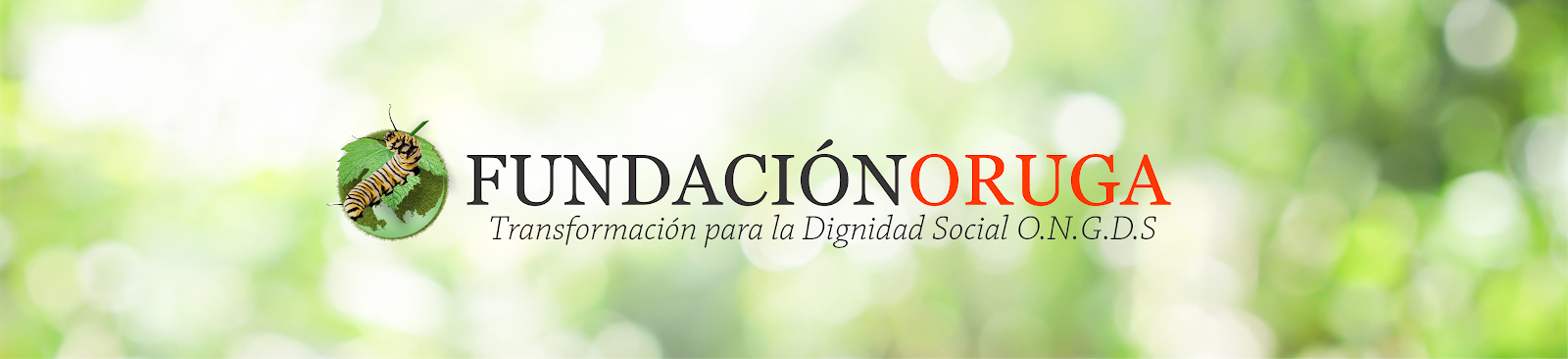 FUNDACIÓN ORUGA