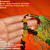 Tasbih Kombinasi batu HIJAU GIOK ONIK dan YAKUT batu Proses 33 biji 7 mm by: Jember Handicraft Kerajinan Khas Jember