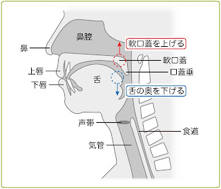 ギラン・バレー症候群, 喉のリハビリ