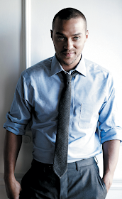 cabin well jesse williams sisterhood of the traveling pants 2. cabin well