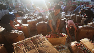 vai thieu luc ngan