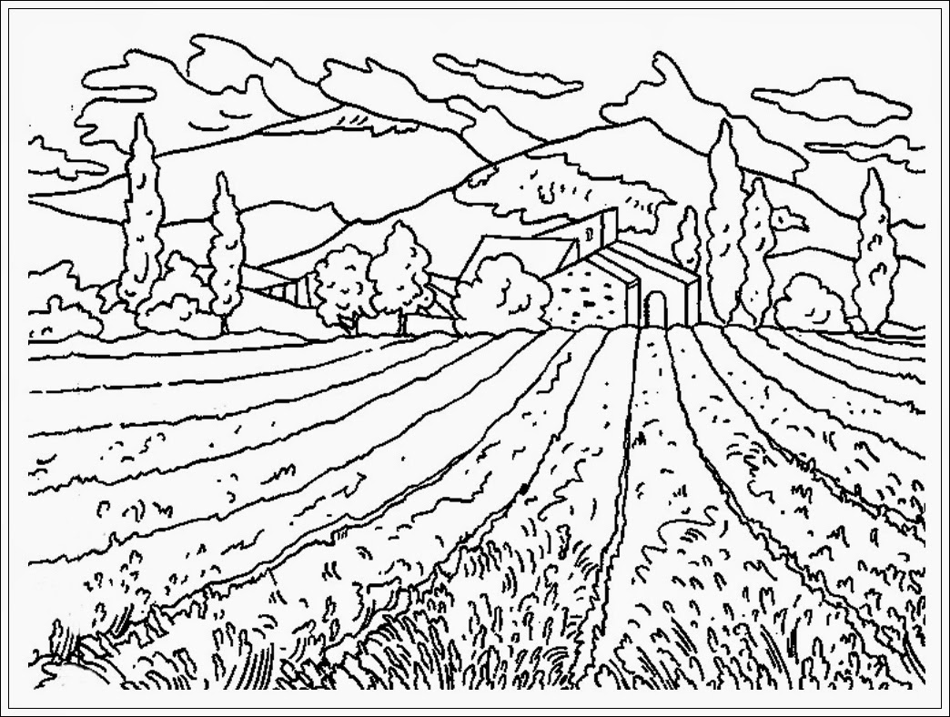 Corn Field Coloring Pages