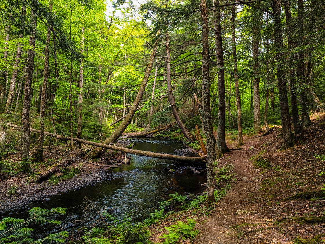 Porcupine Creek in the Porcupine Lake Wilderness