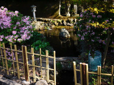 天川の水