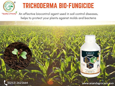 Trichoderma Biofungicide