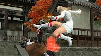  Tekken 5 pc