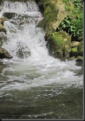 Belton 5
