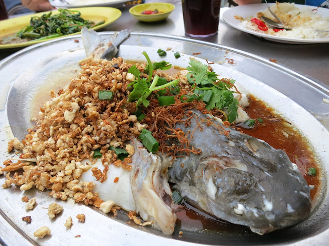 Steamed Patin Fish