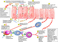 Download this Autoimmune Disorders picture