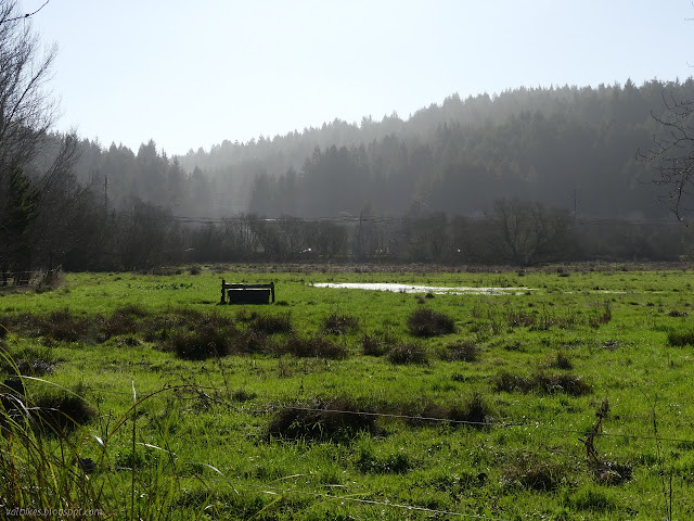 field of green grass, a pond, and trough