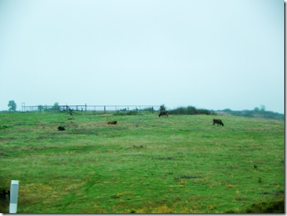 100_2008