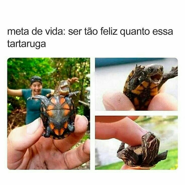 Memes engraçados 