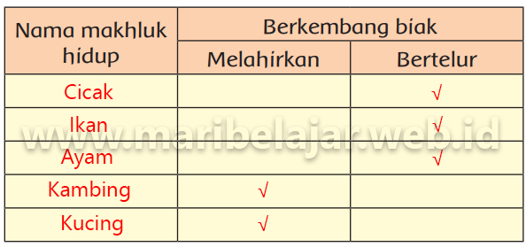 Mari Belajar Belajar dimana saja dan kapan saja 