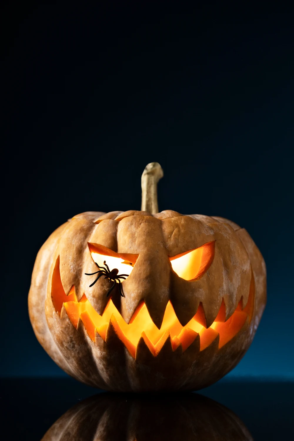 Spider Pumpkin Decorating Ideas 10 Creative Ways to Spook up YourHalloween Decor