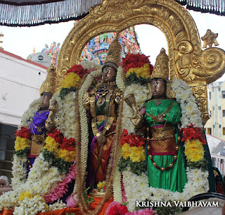 Sri Theliya Singar,Purattasi, sanivaram,Parthasarathy Perumal Temple,Purappadu,2016, Video, Divya Prabhandam,Sri Parthasarathy Perumal, Triplicane,Thiruvallikeni,Utsavam,