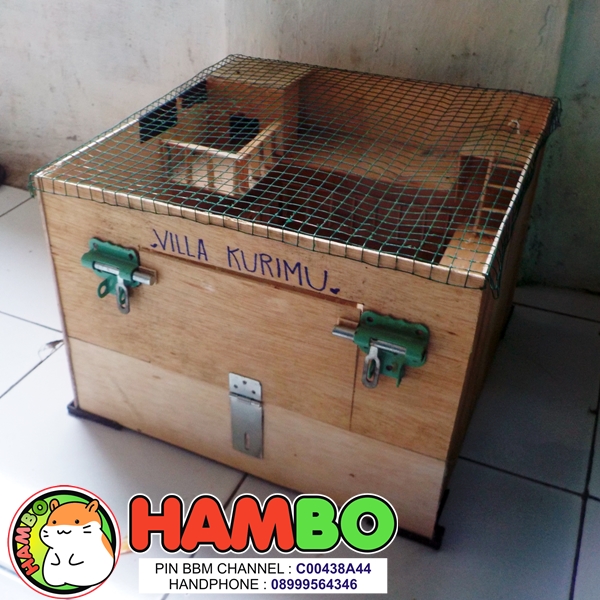 Villa Kurimu Penitipan Hamster di Bogor