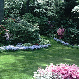 Landscape Design Ideas