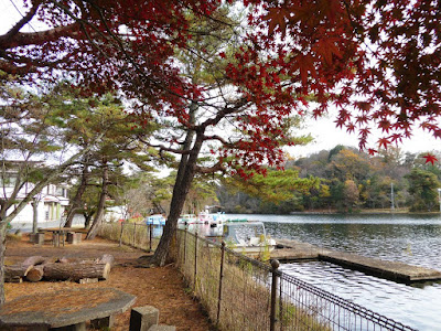 くろんど池 秋の紅葉ウォーキング