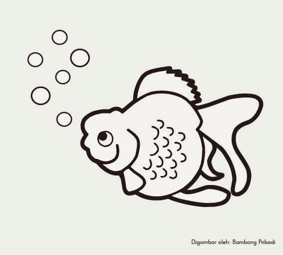 Mewarnai Binatang  Ikan Maskoki belajar menggambar dan 