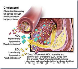 reduce-cholesterol