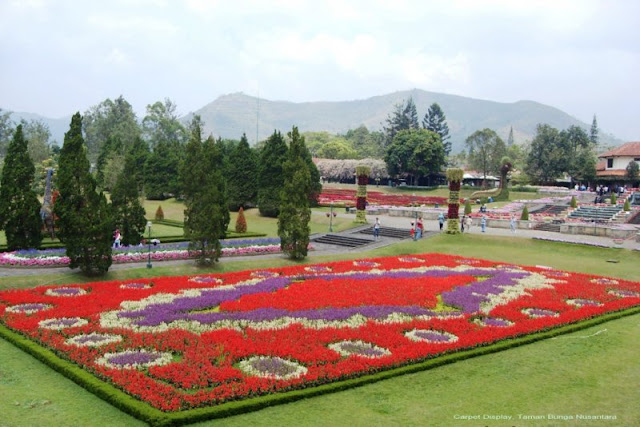 tour taman bunga nusantara