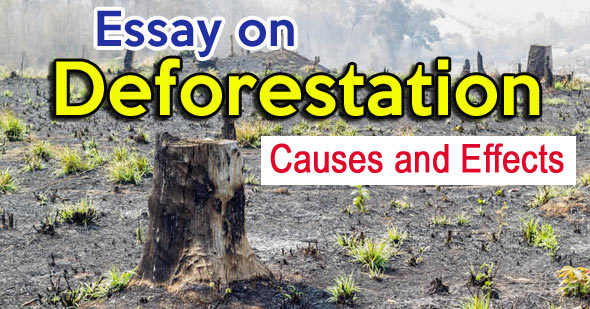 Essay on Deforestation