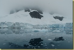 Paradise Harbour - glacier reflection