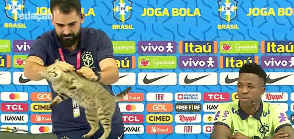 QATAR 2022: Brasil demandada por miles de dólares por “maltrato animal” contra el gatito.