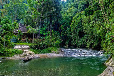 Bukit Lawang