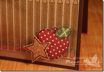 Teacher Apple CU 3