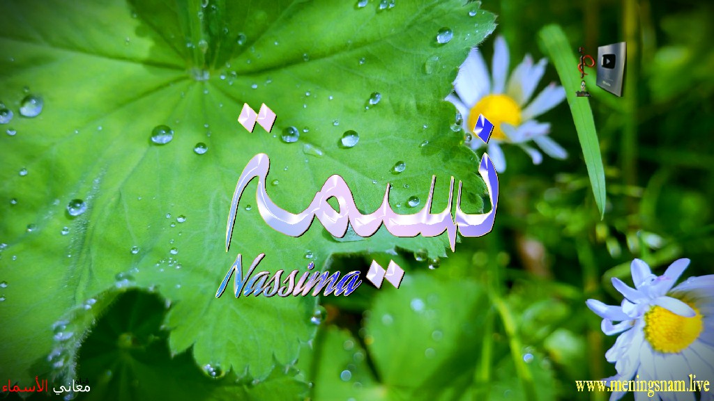 معنى اسم, نسيمة, وصفات, حاملة, هذا الاسم, Nassima,