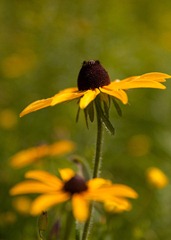 web_IMG_4908 web_IMG_4908