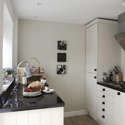 Black and White Kitchen Interior Design